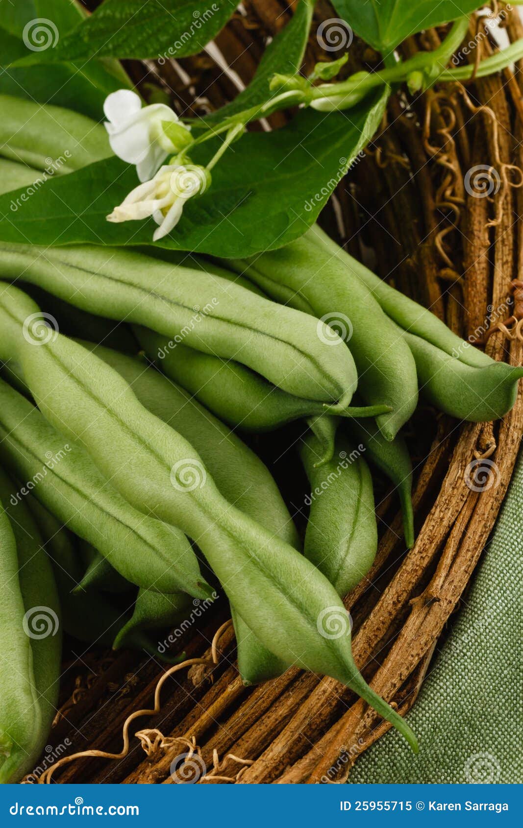 Fresh Green Beans stock image. Image of nutrition, vegetarian 25955715