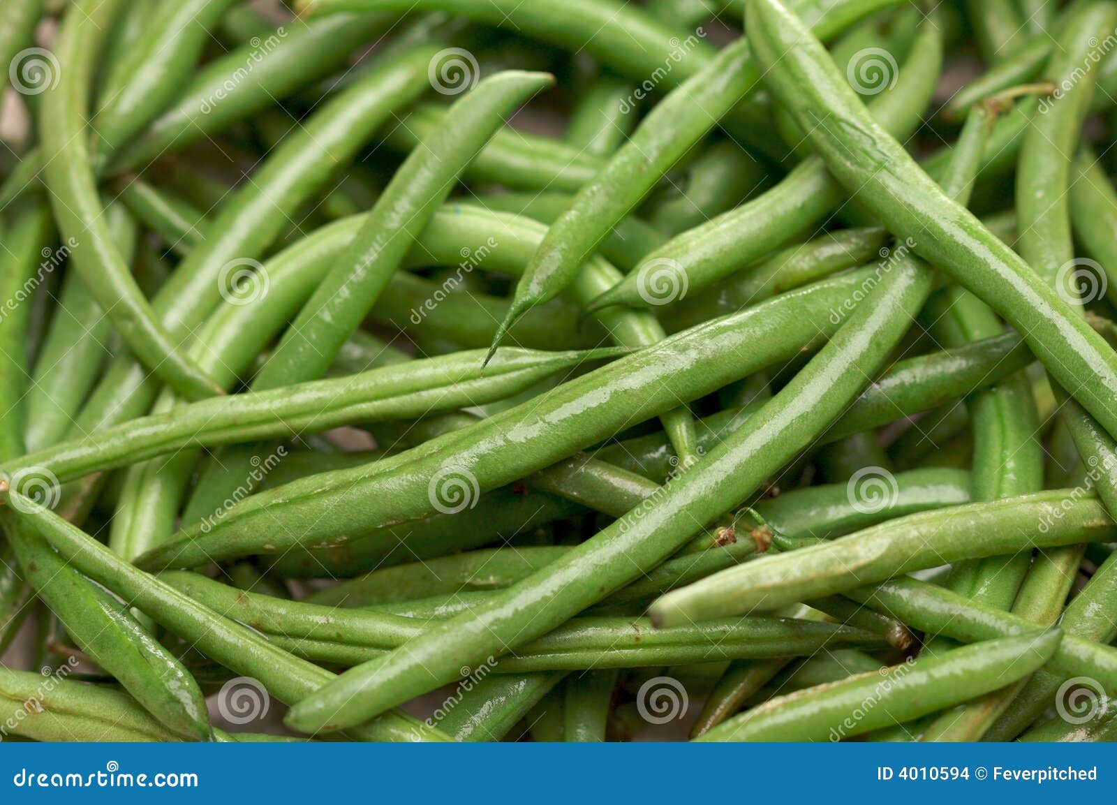 Fresh Green Beans stock photo. Image of farm, fresh, closeup 4010594