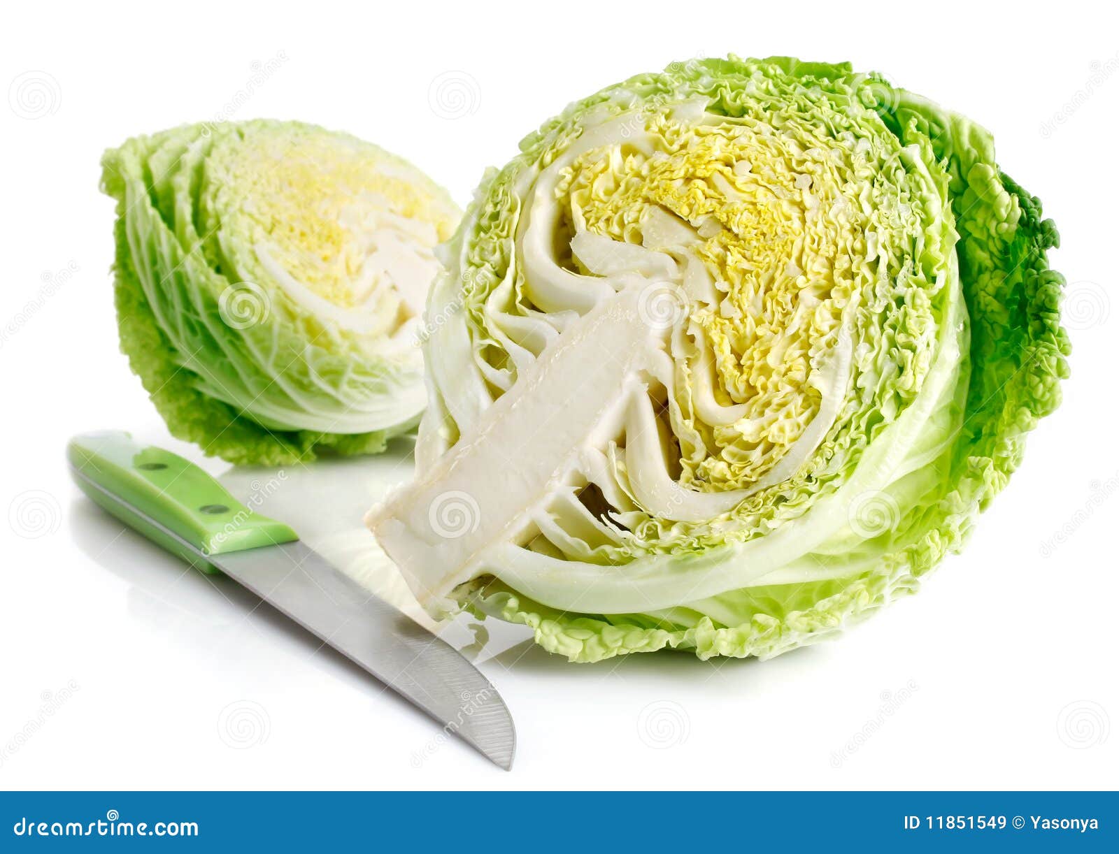 Fresh Green Cabbage Fruit with Cut Isolated Stock Image Image of