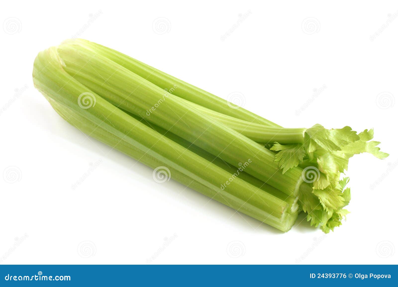 Fresh green celery stock photo. Image of color, closeup 24393776