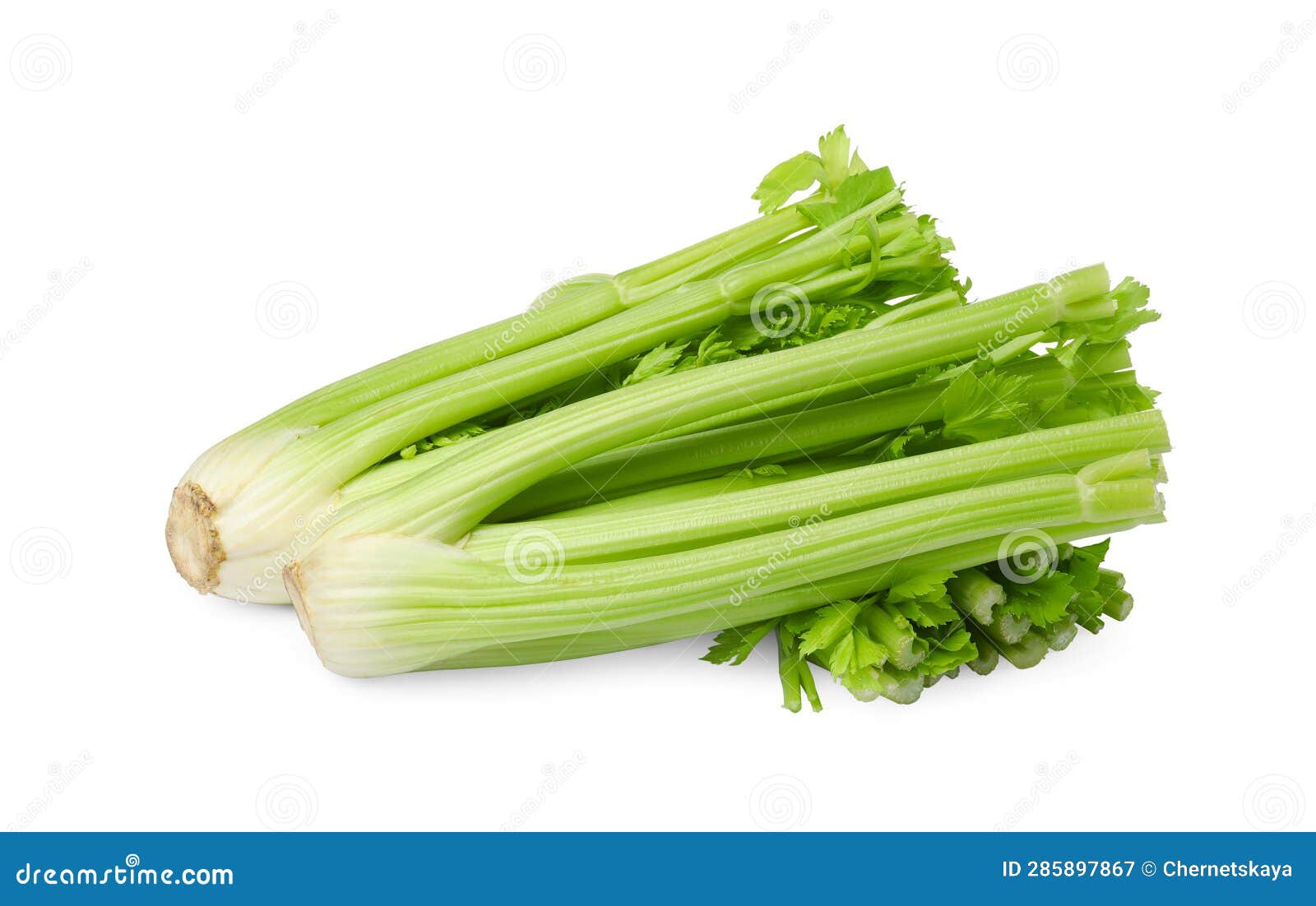 Fresh Green Celery Bunches Isolated on White Stock Image Image of