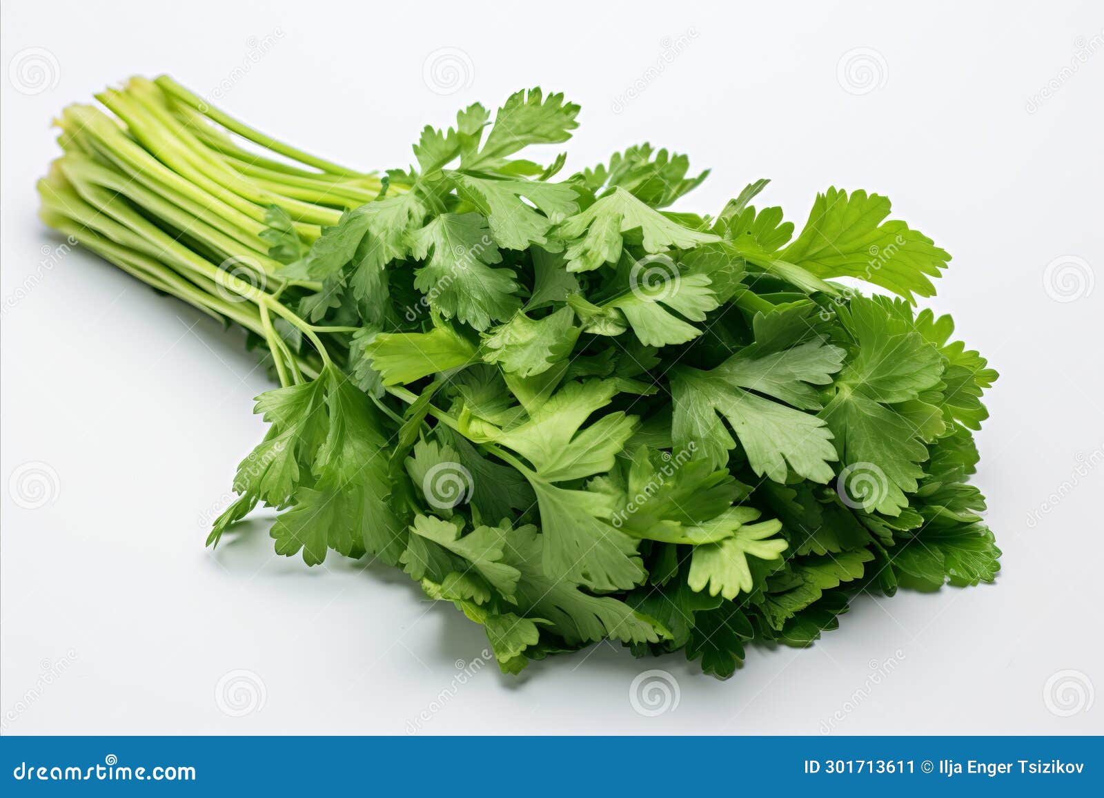 Fresh Green Celery Stalks on Clean White Background for Captivating Ads