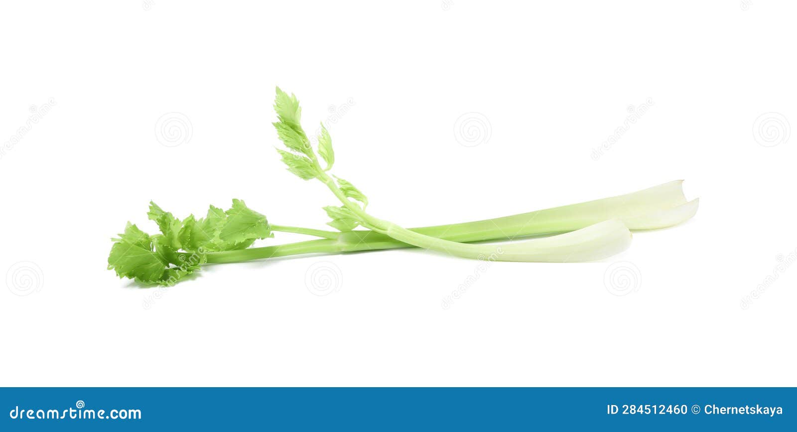 Fresh Green Celery Stems Isolated on White Stock Photo Image of cook