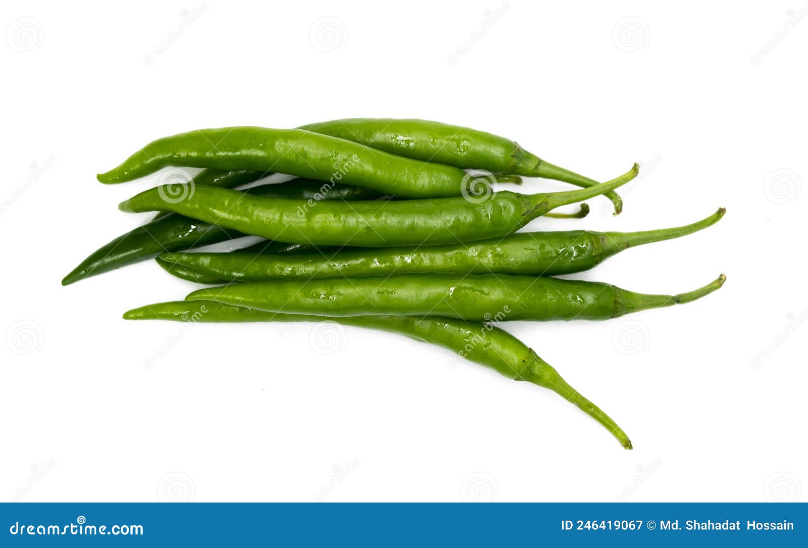 Fresh Green Chilli Over on White Background Stock Image - Image of