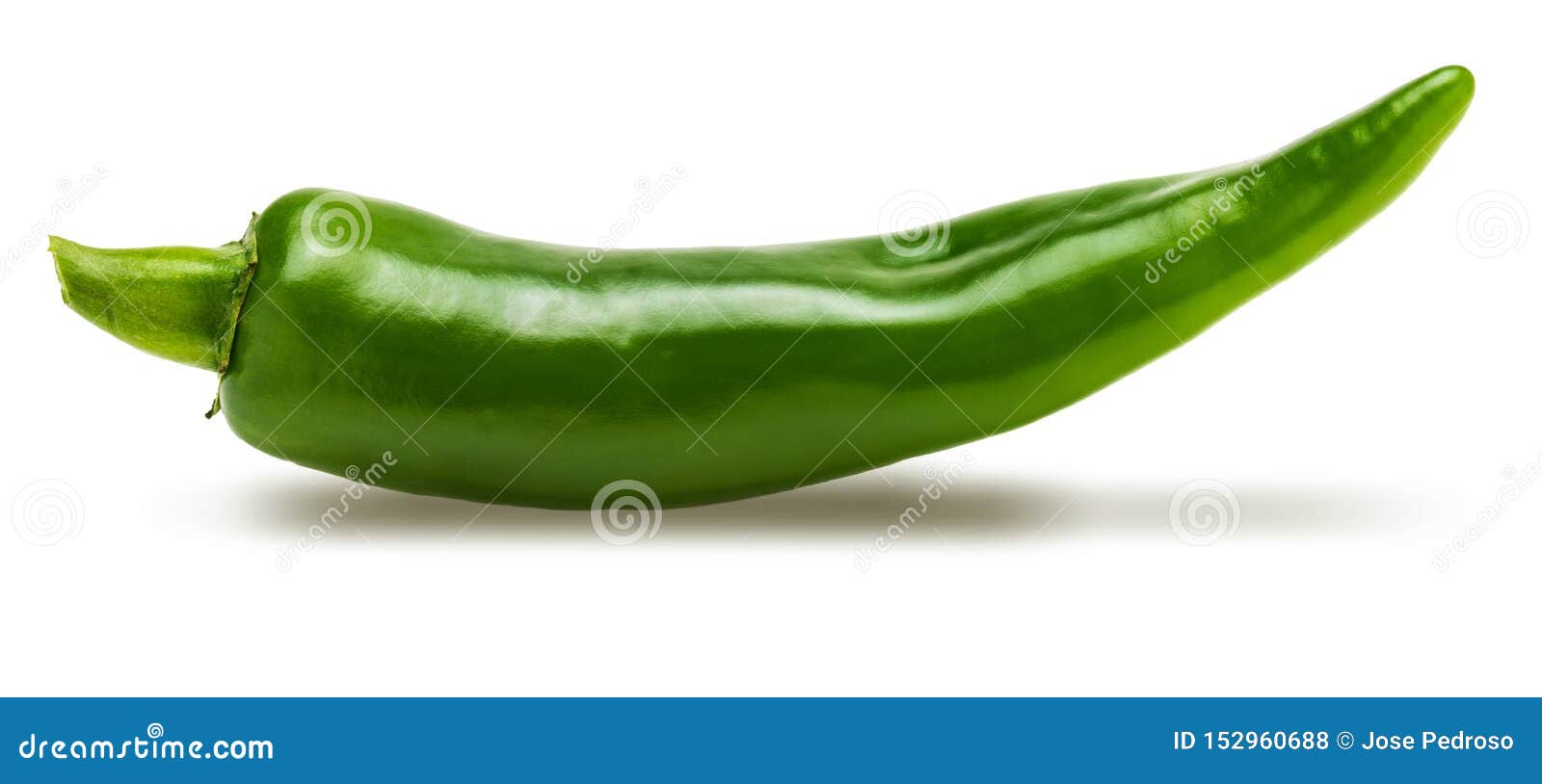 1 Fresh Green Chilli Pepper. Stock Photo - Image of burning, cooking
