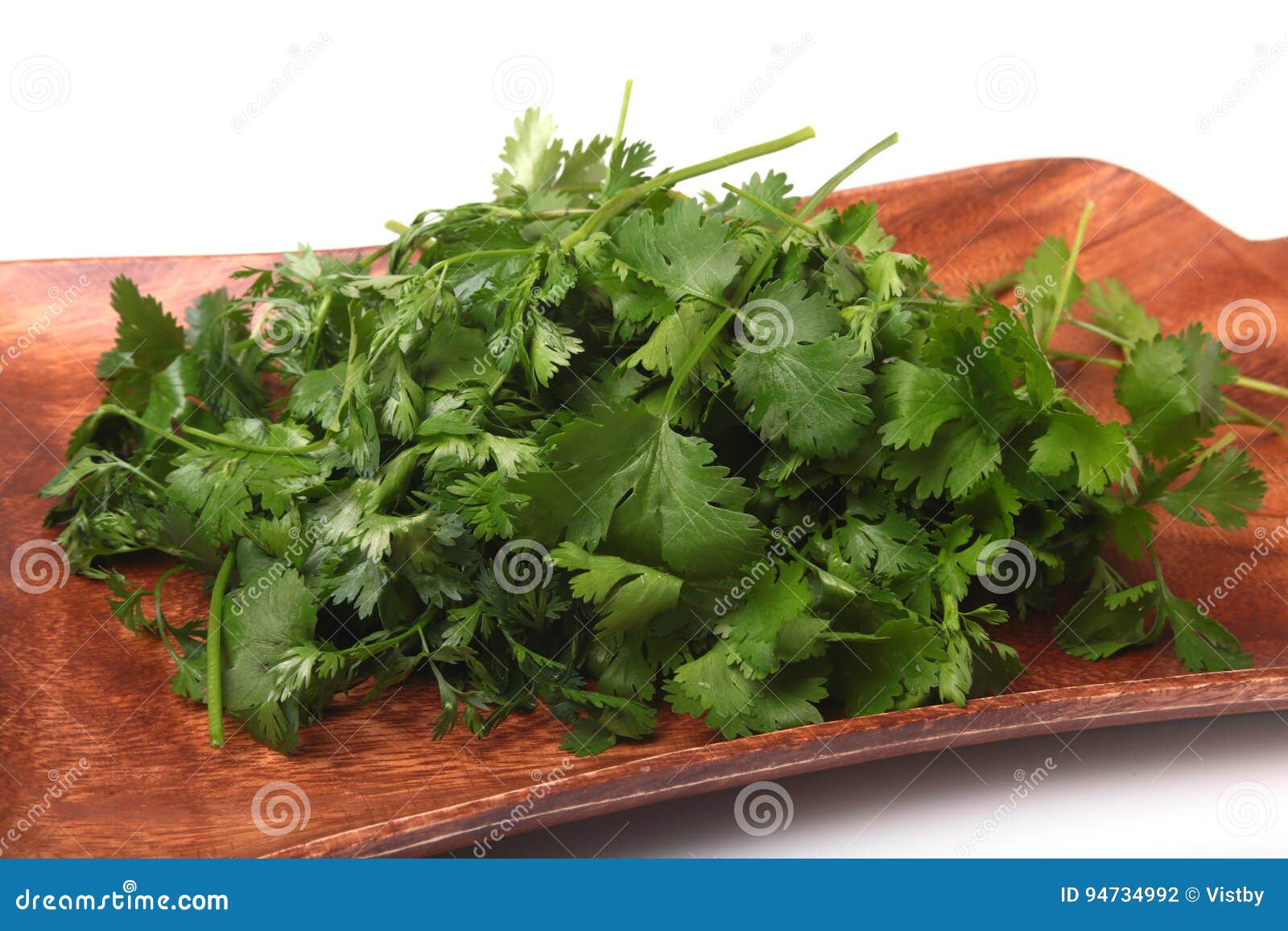 Fresh green cilantro, coriander leaves on wooden board.