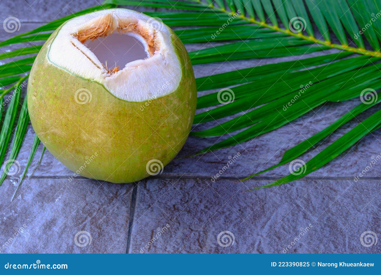 Fresh Green Coconut Fruit and Coconut Leaves Stock Image Image of
