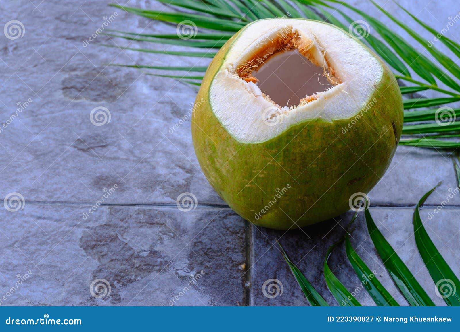 Fresh Green Coconut Fruit and Coconut Leaves Stock Image Image of