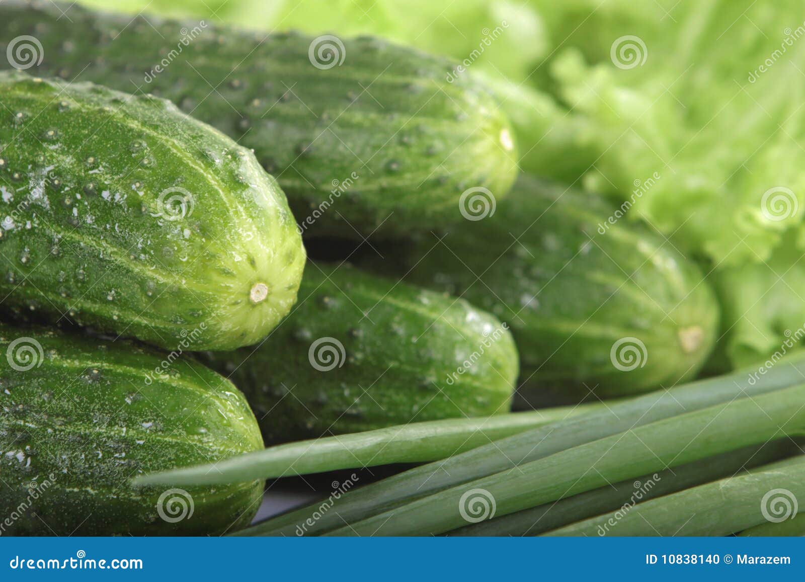 Fresh green cucumbers stock photo. Image of autumn, lettuce 10838140