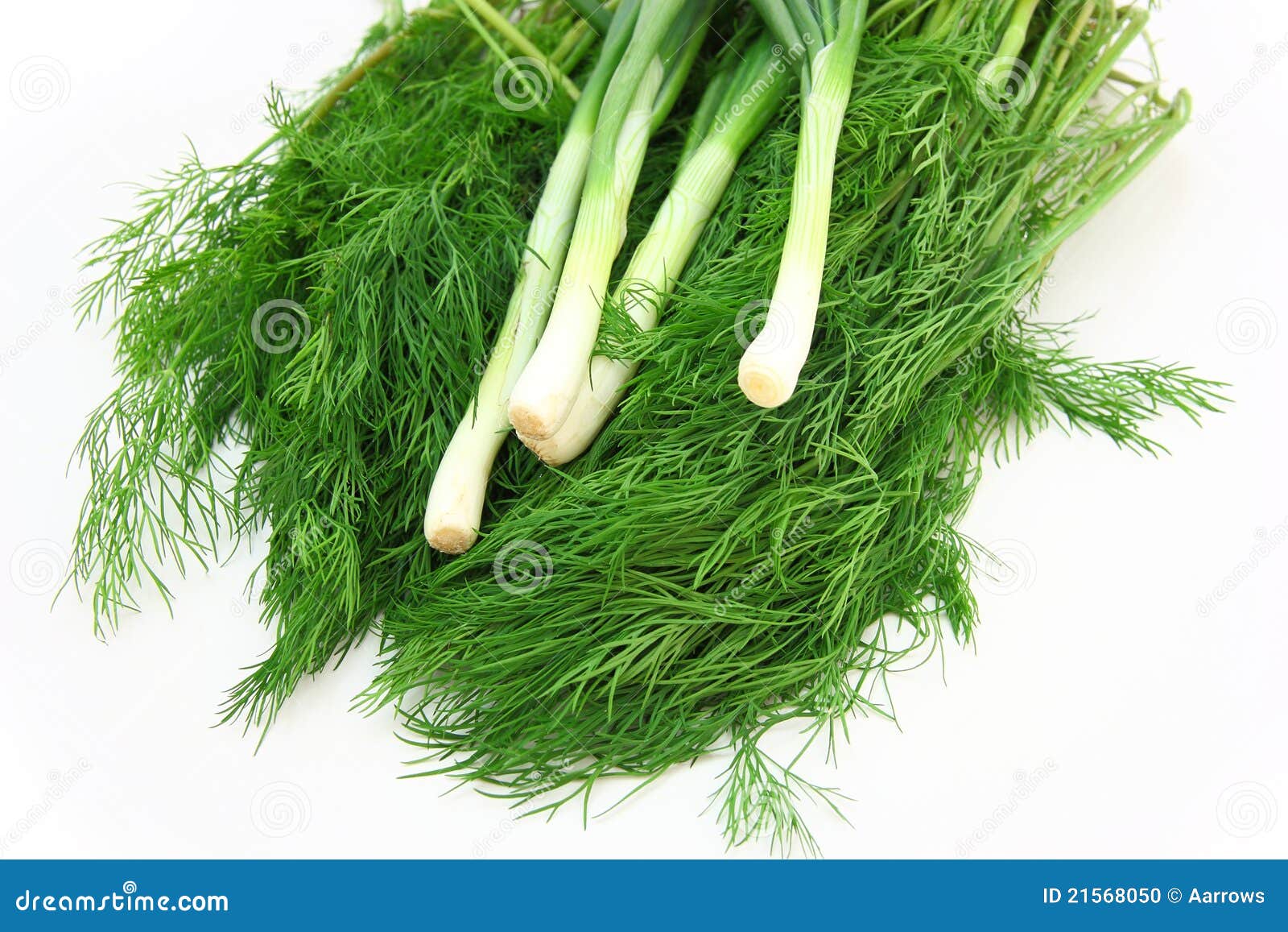 Fresh Green Dill and Onion. Stock Photo Image of flavor, cooking