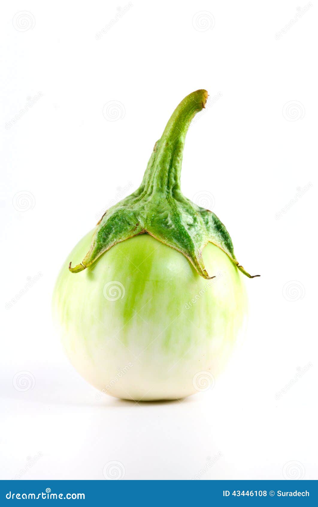 Fresh green eggplant stock photo. Image of cooking, nature 43446108