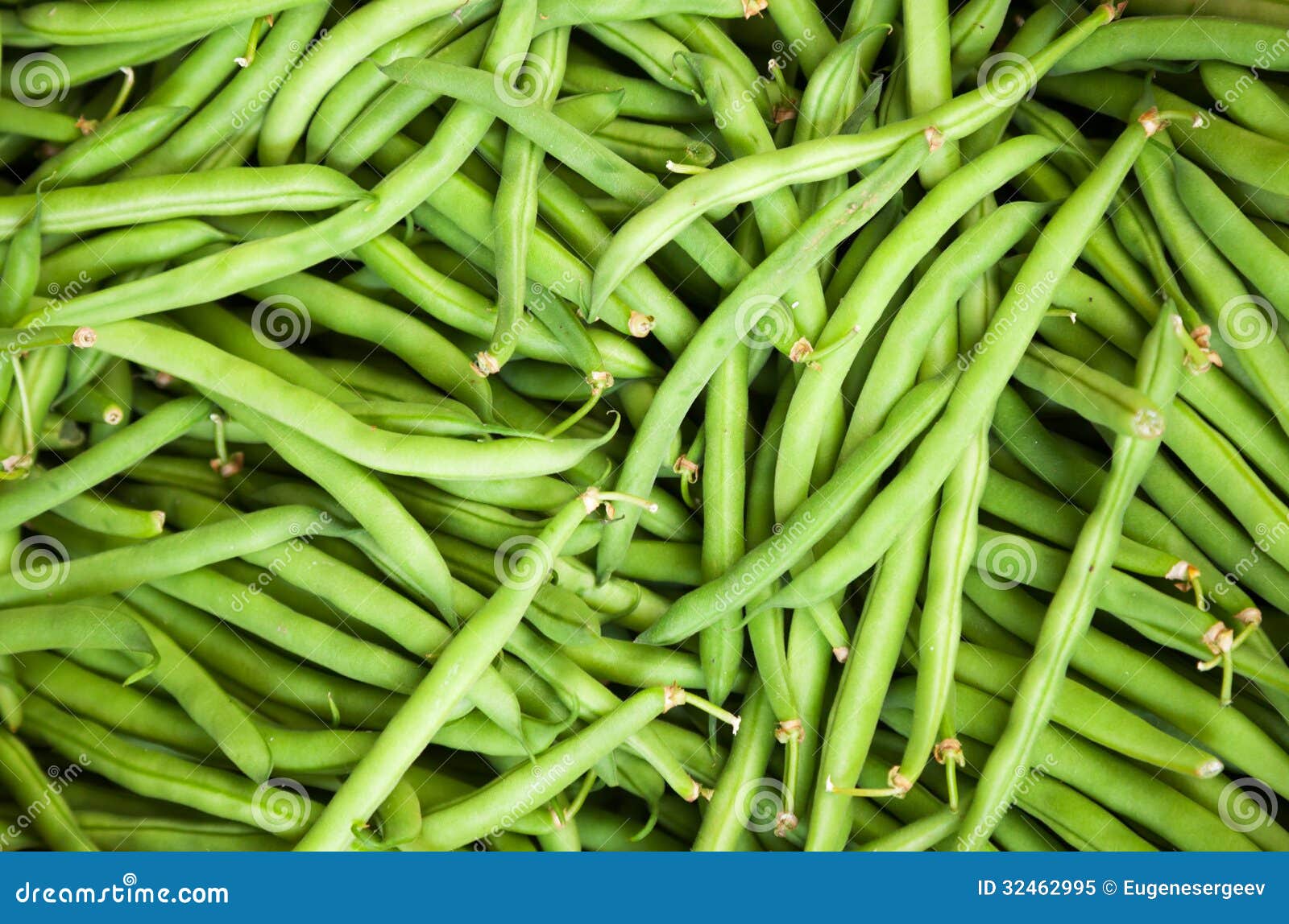 Fresh green French bean stock image. Image of layer, closeup 32462995