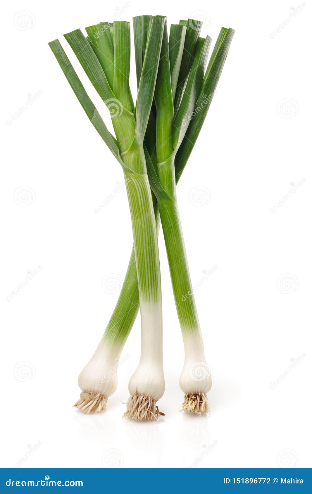 Fresh Green Garlic Isolated on White Stock Photo Image of condiment