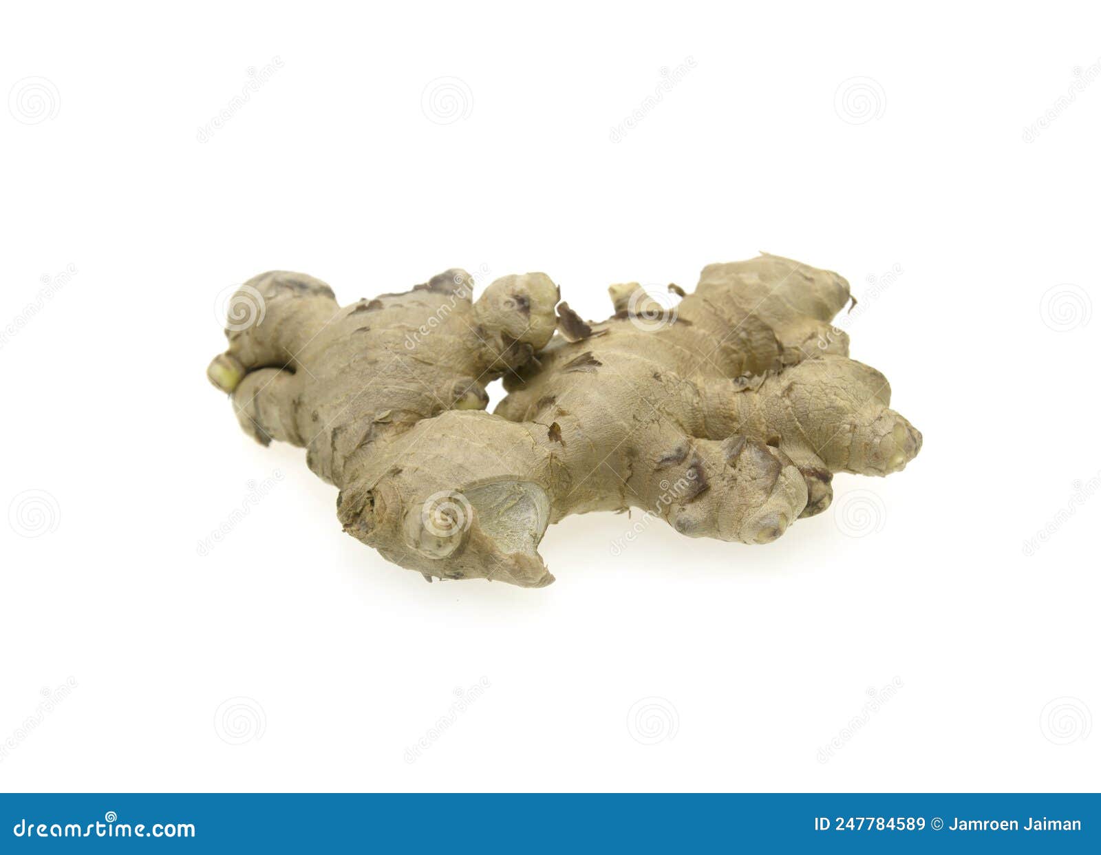 Fresh Green Ginger Rhizome Isolated on White Background Stock Image