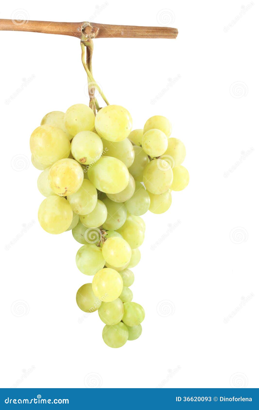Fresh green grapes stock image. Image of ripe, isolated 36620093