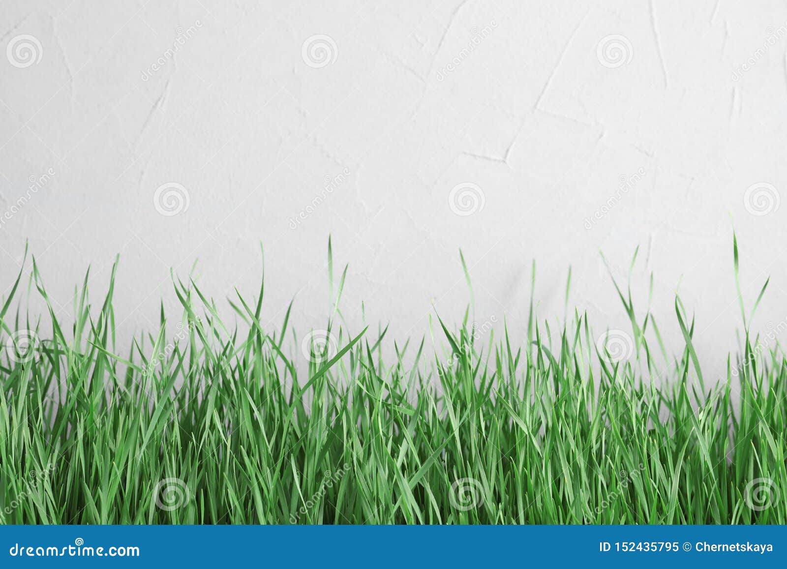 Fresh Green Grass Near Light Fence Stock Image Image of decoration