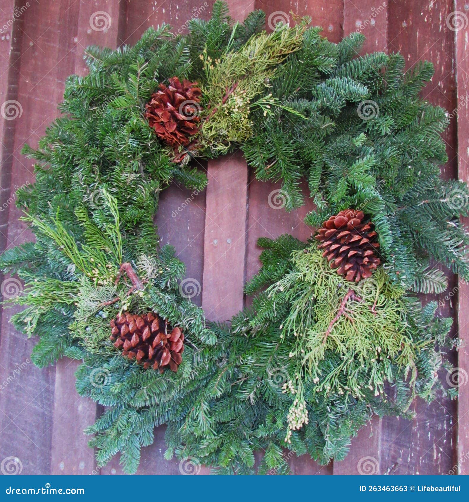 Fresh wreath stock image. Image of pinecone, flower 263463663
