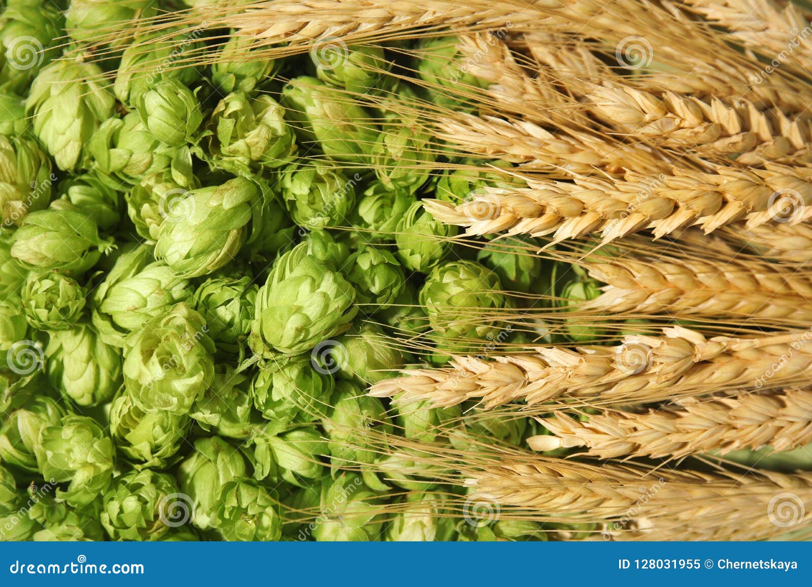 crisp and green crisp and green