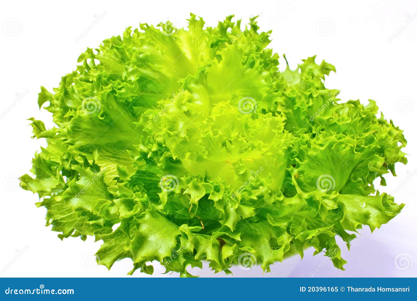 carbs in iceberg lettuce carbs in iceberg lettuce