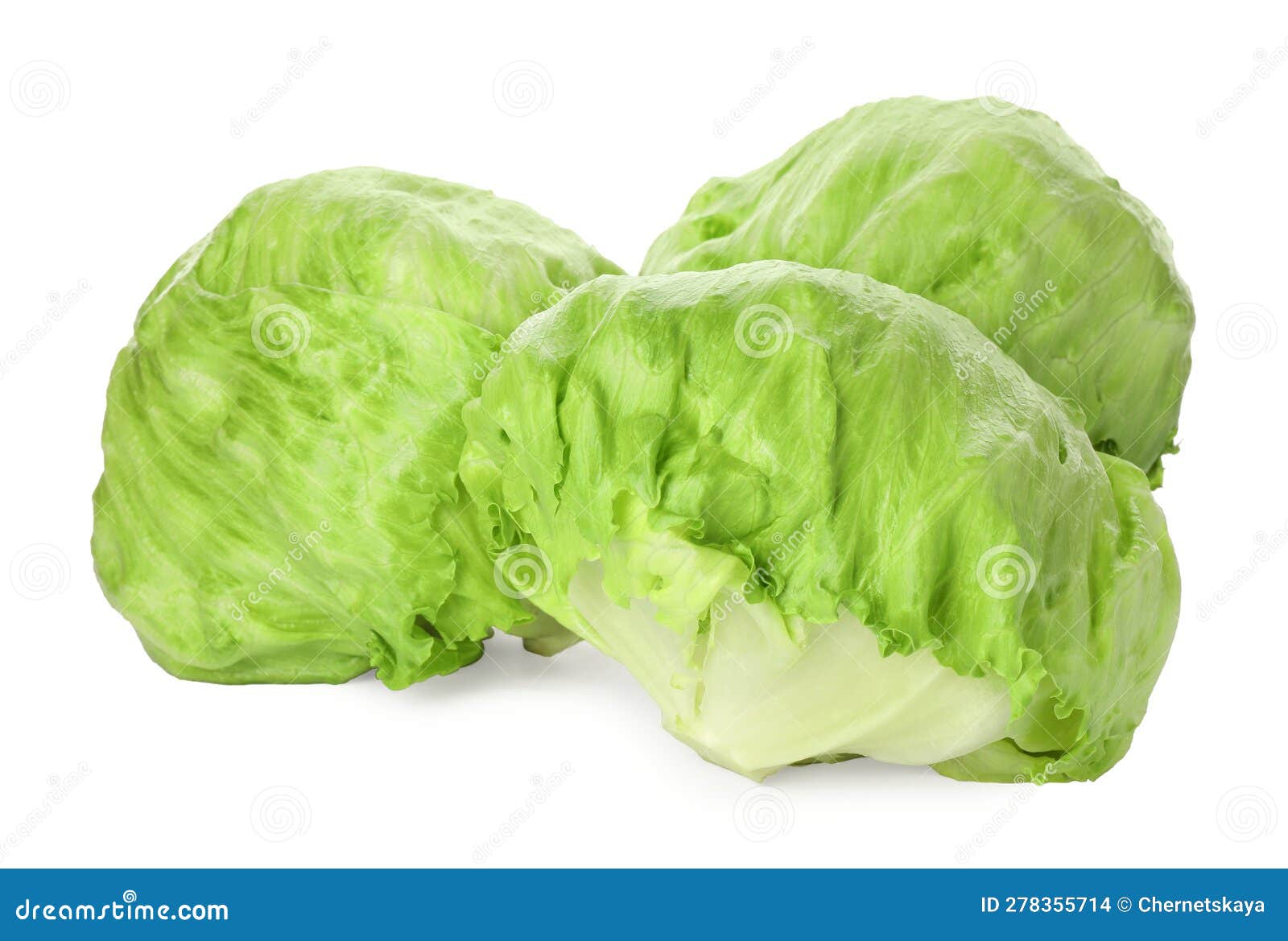 Fresh Green Iceberg Lettuces Isolated on White Stock Photo Image of