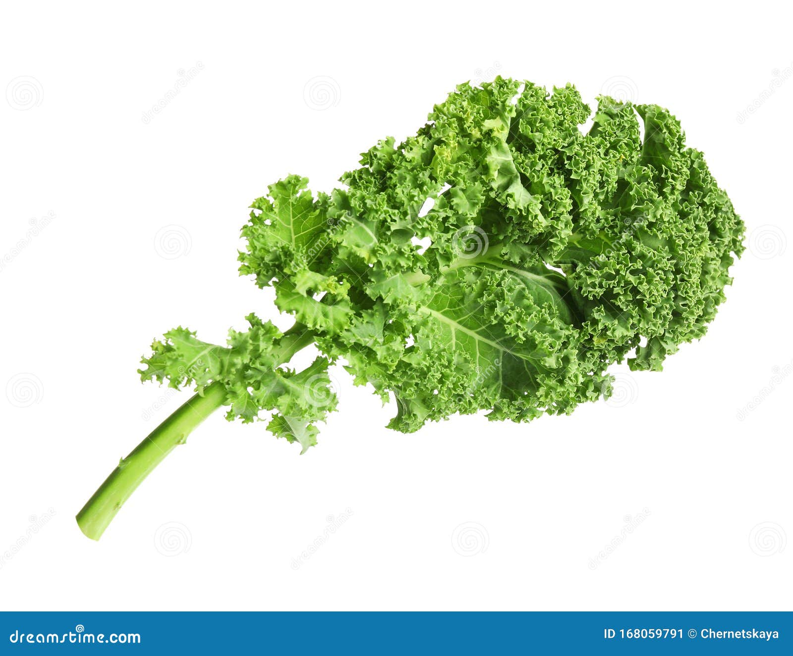 Fresh Green Kale Leaf Isolated Stock Image Image of antioxidants