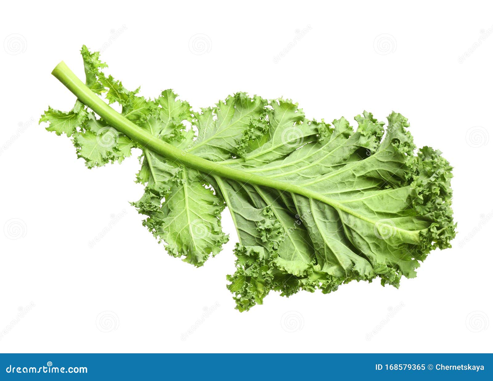 Fresh Green Kale Leaf Isolated Stock Image Image of ingredient