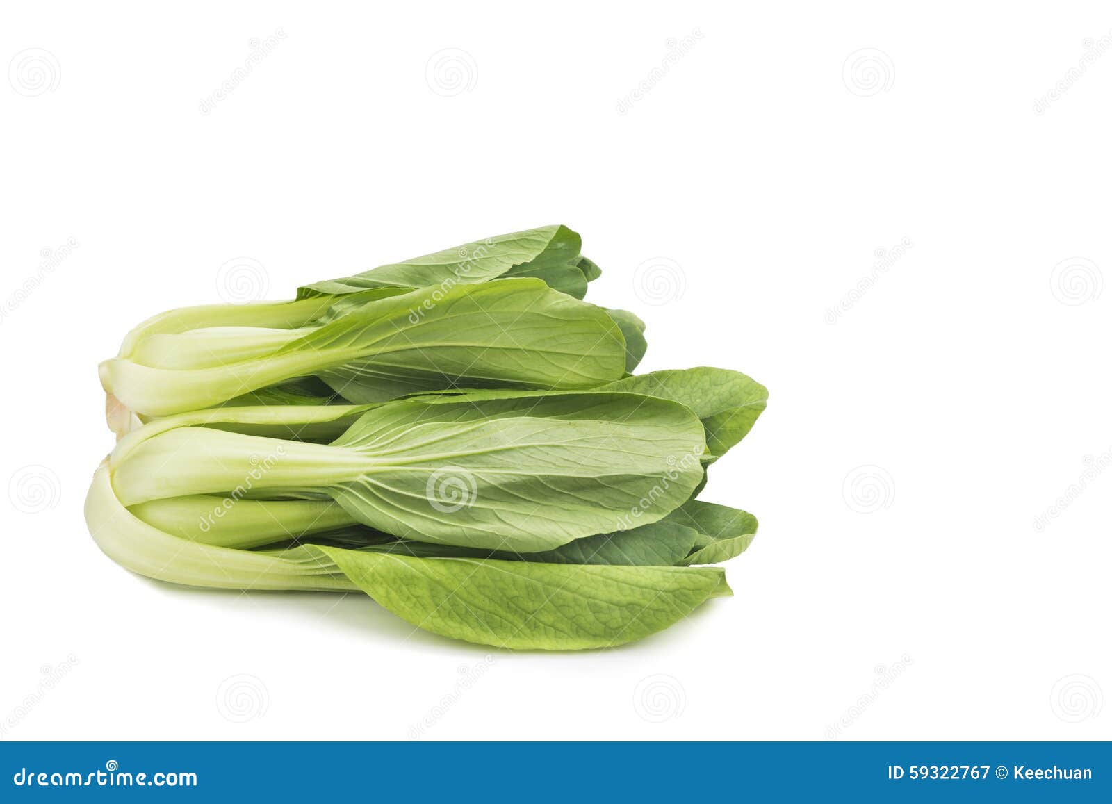 Fresh Green Leafy Bok Choy Vegetable Isolated in White. Stock Image