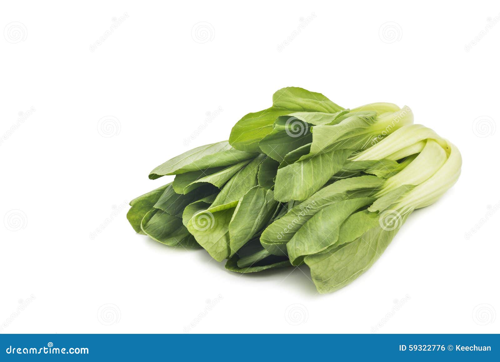 Fresh Green Leafy Bok Choy Vegetable Isolated in White. Stock Photo