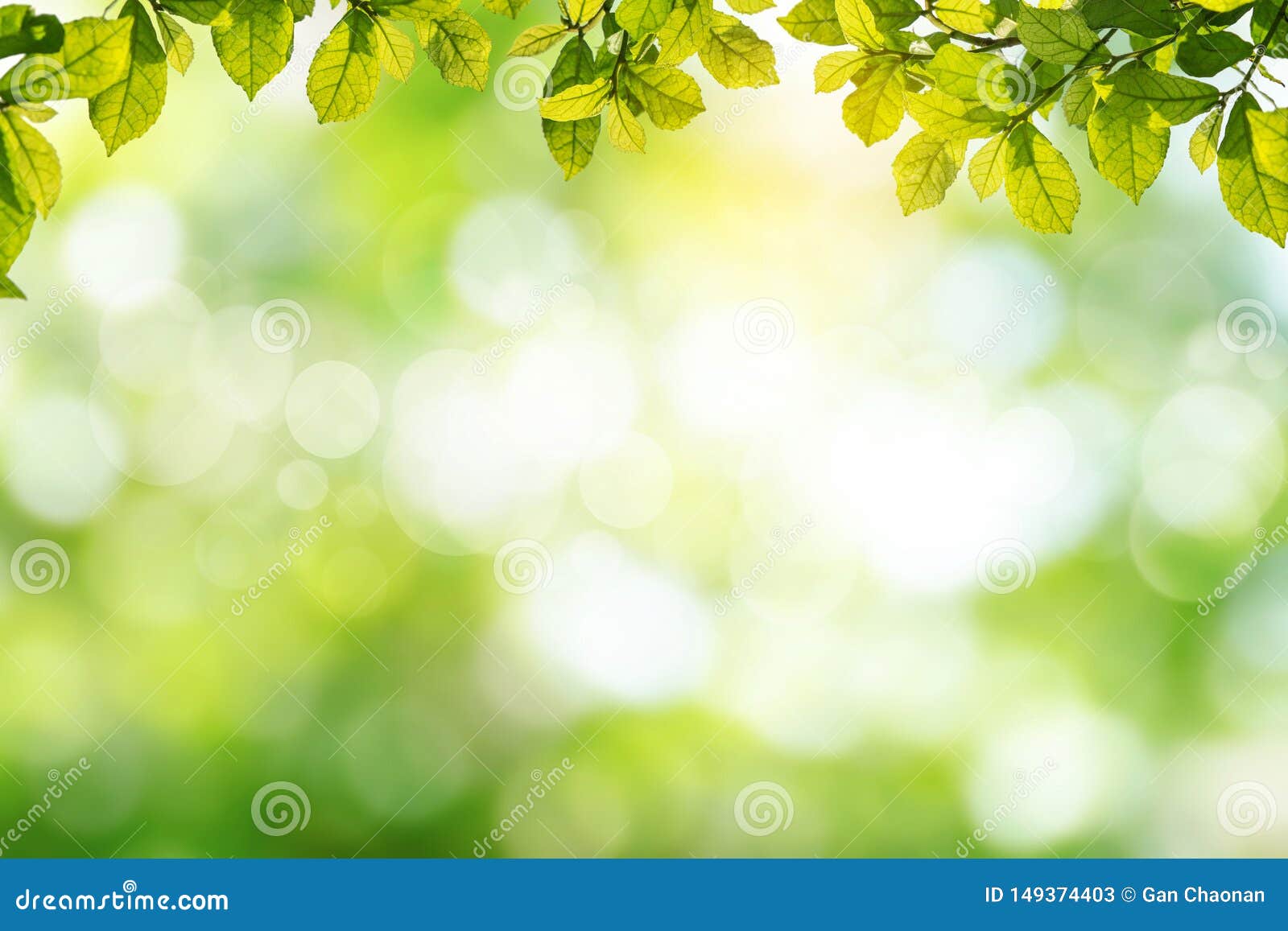 Fresh and Green Leaves Green Bokeh on Nature Abstract Blur Background Green  Bokeh from  Up for Display Stock Illustration - Illustration of  blurred, organic: 149374403