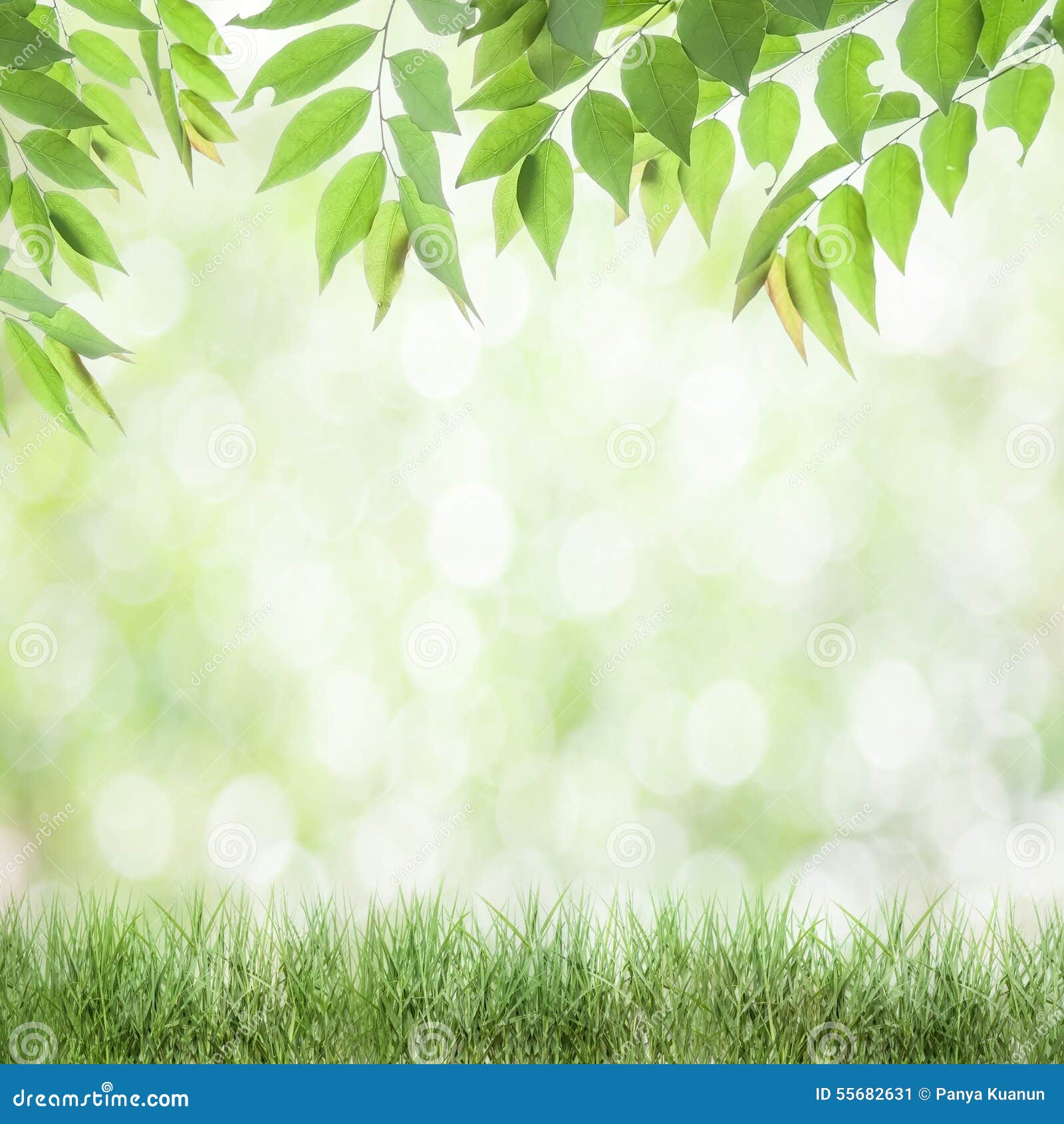 Fresh Green Leaves Natural Green Background Stock Image Image of