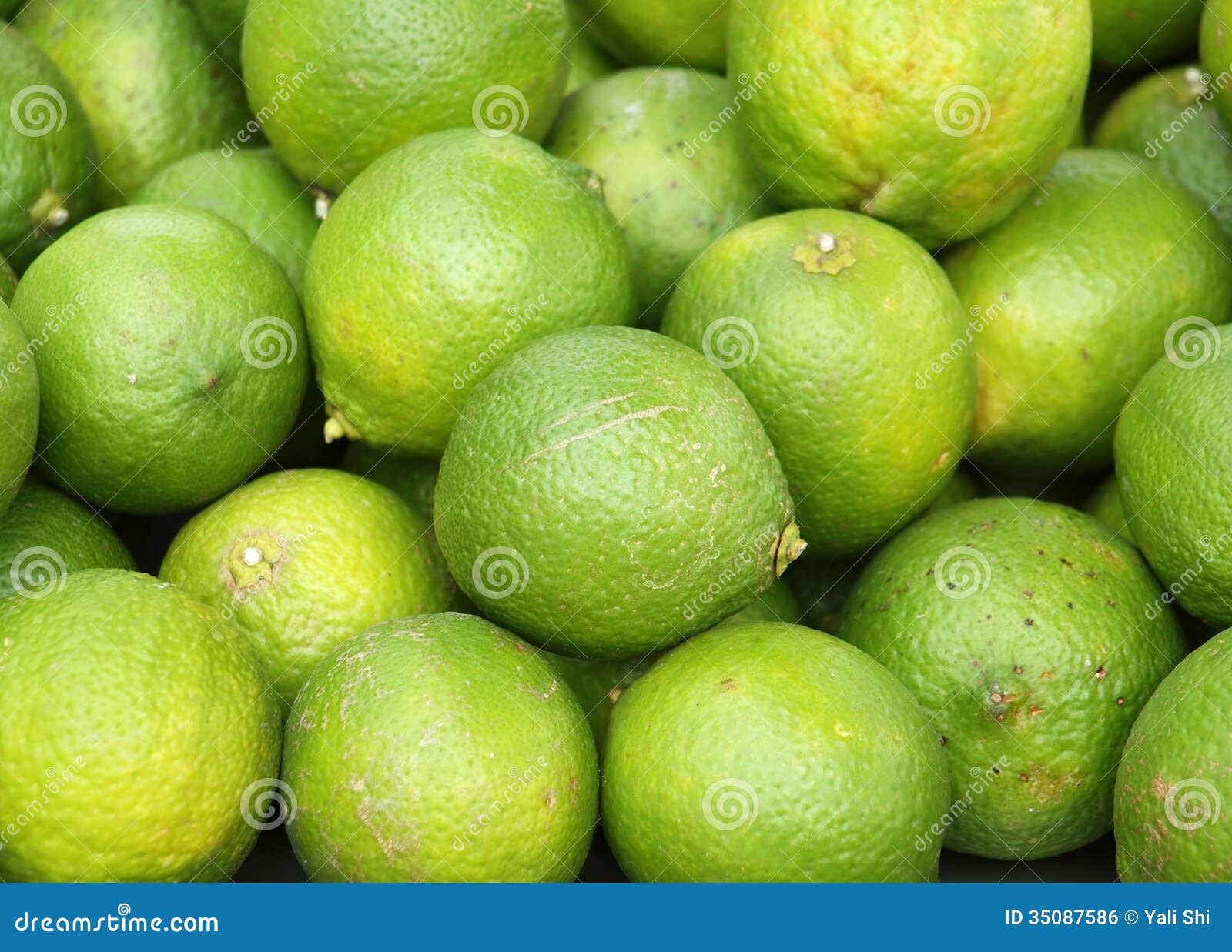 Fresh Green Lemons stock photo. Image of limes, fruit 35087586