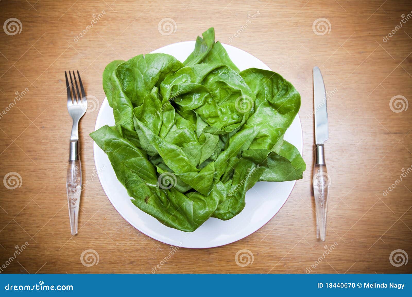 Fresh Green Lettuce On Plate Picture. Image 18440670