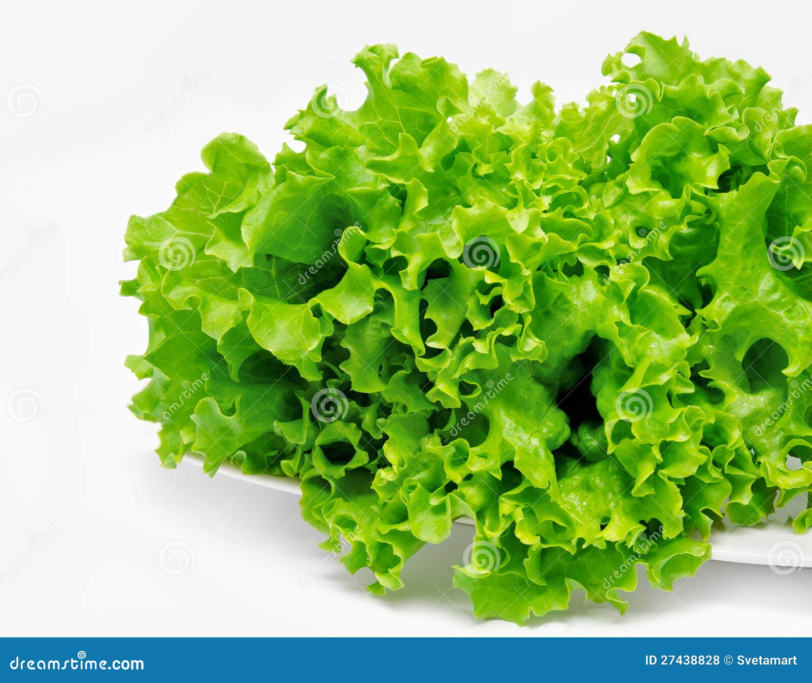 Fresh Green Lettuce on the Plate Stock Photo Image of snack