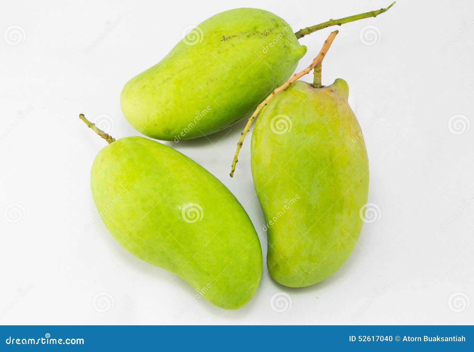 Fresh Green Mango(Rhino Mango)Thailand Stock Photo Image of path