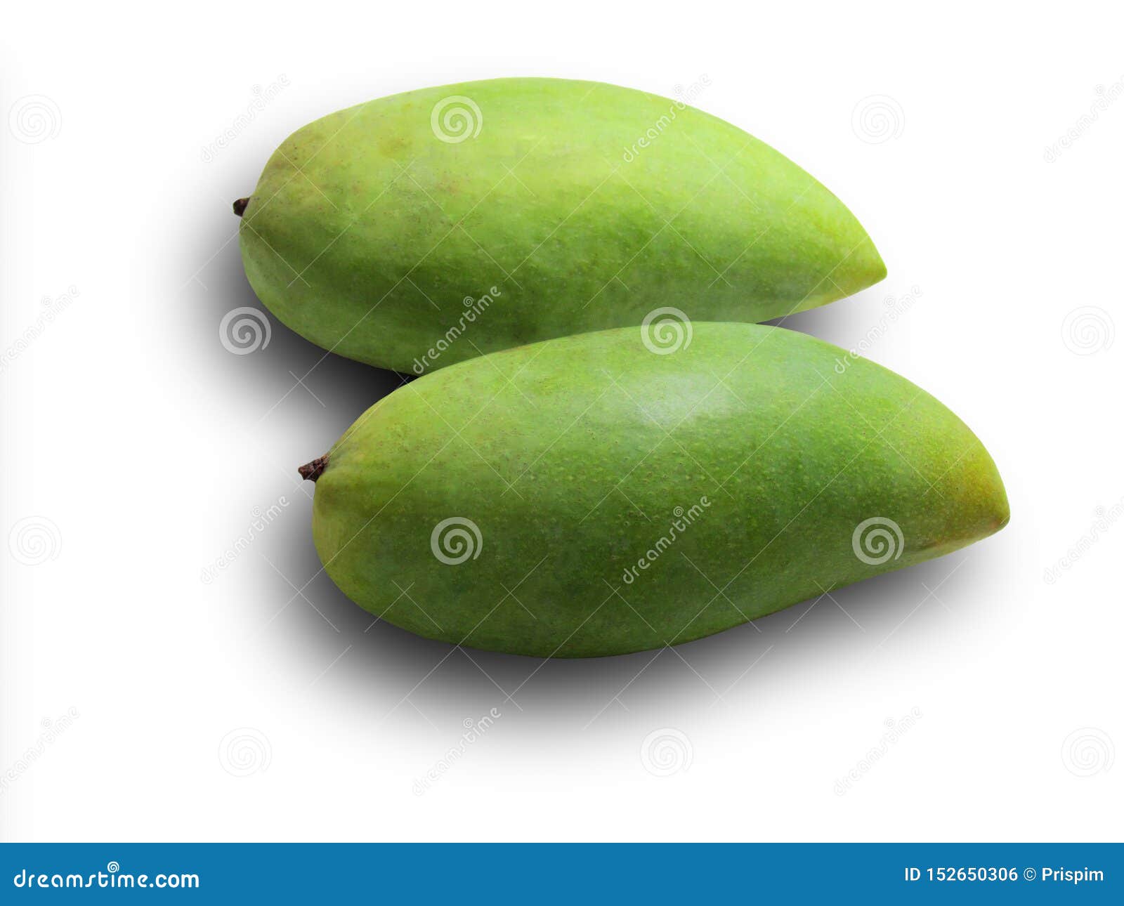 Fresh Green Mangoes Isolated on White Background Stock Photo Image of