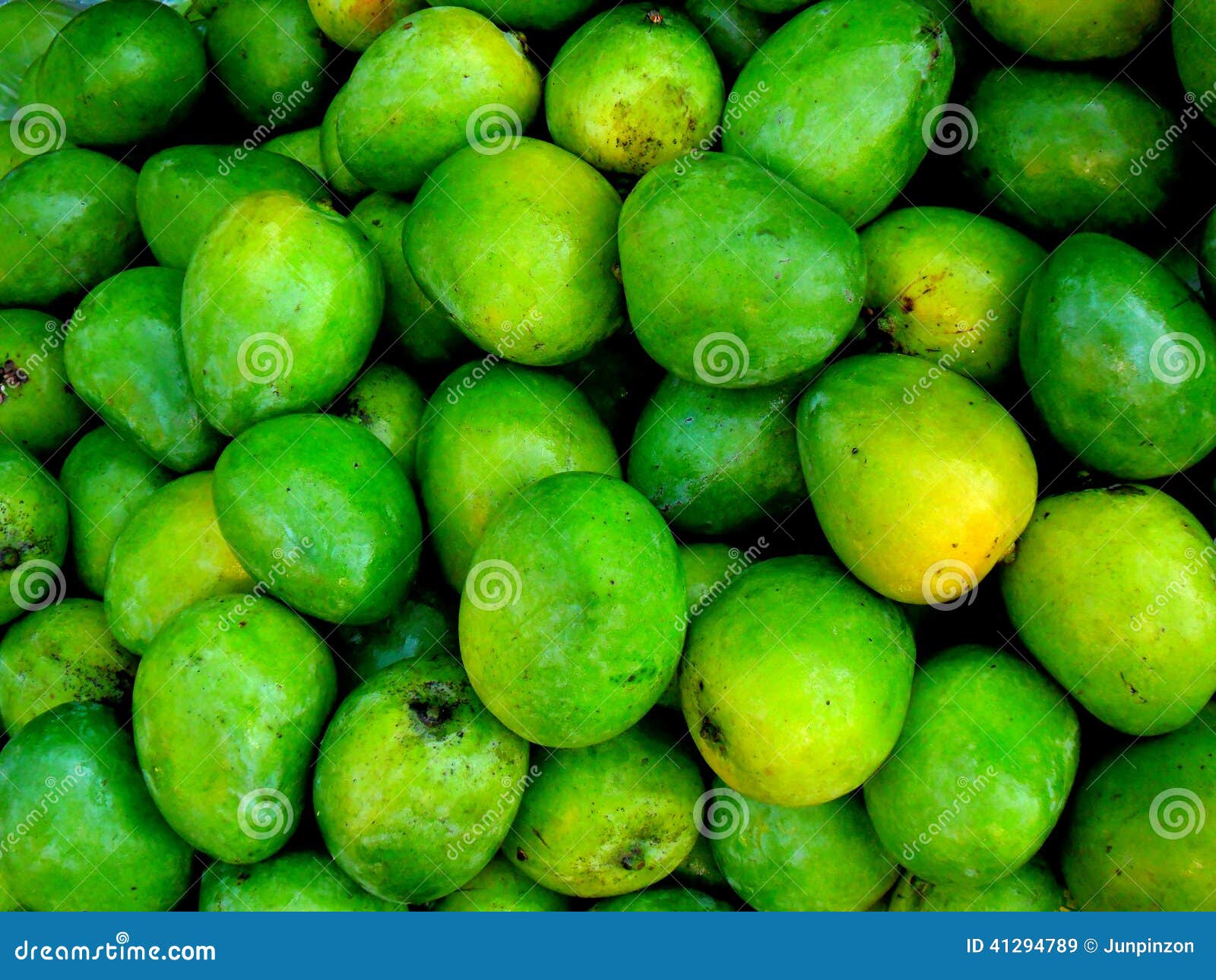 Fresh Green Mangoes stock image. Image of fruit, food 41294789