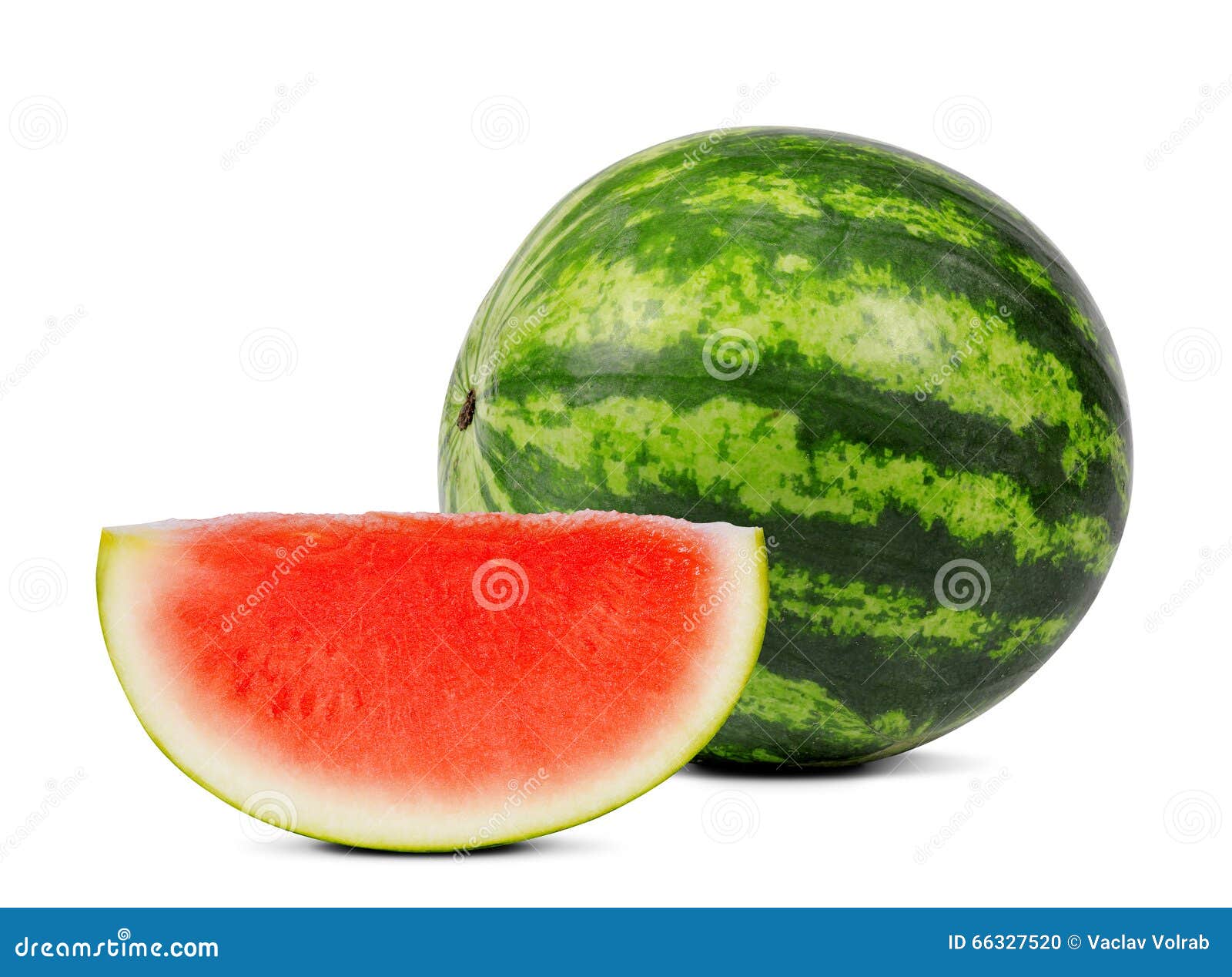 Fresh green melon stock photo. Image of summer, vegan 66327520