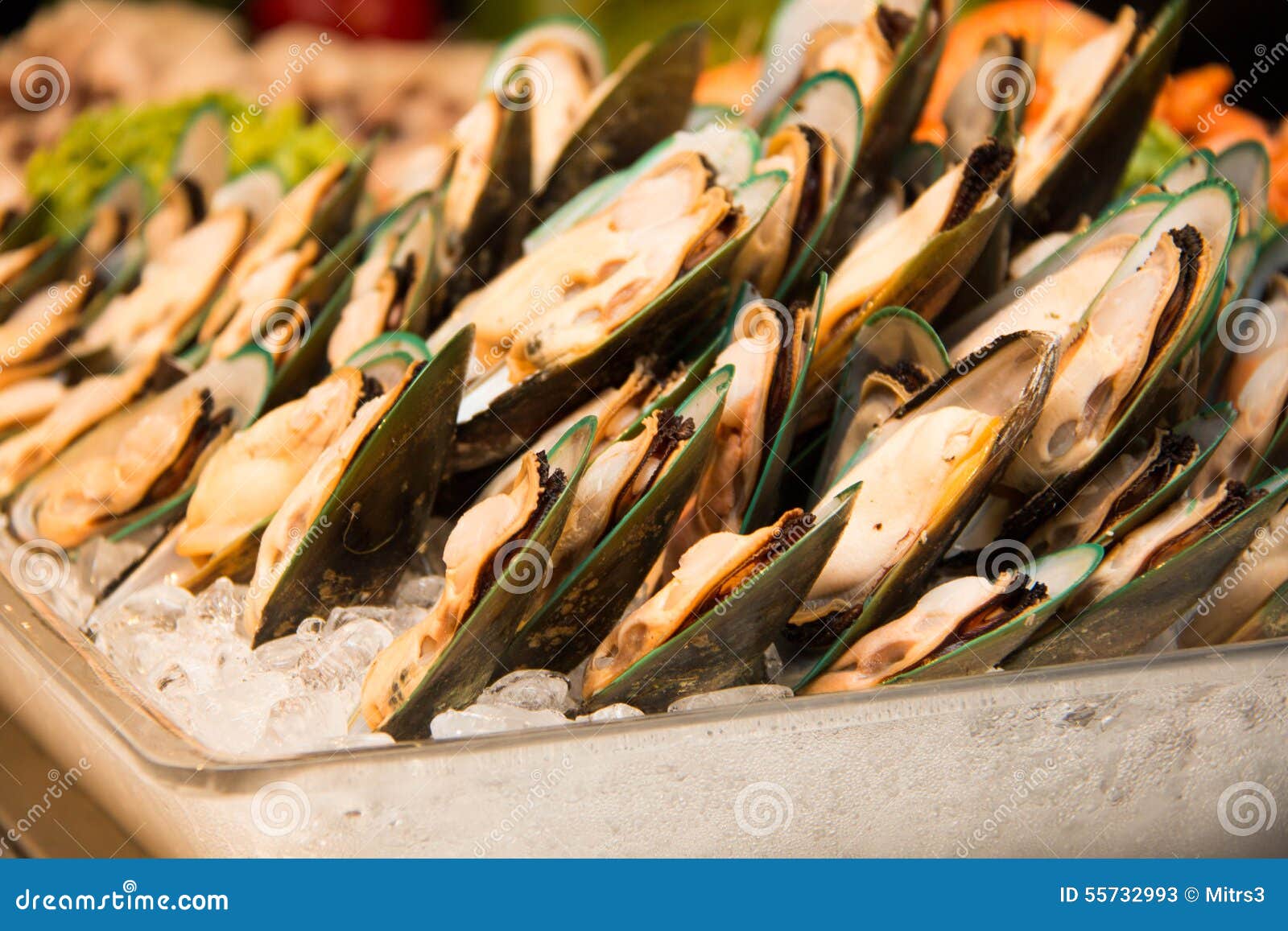 Fresh Green Mussel with Ice Stock Image Image of appetizer, diet