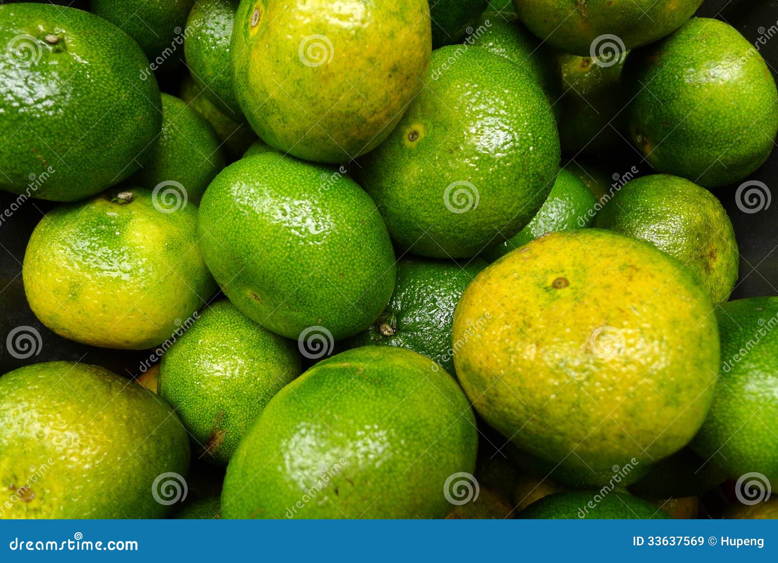 Fresh green orange stock image. Image of back, growing 33637569