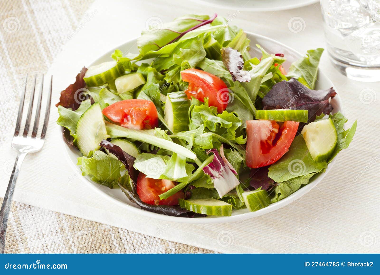 Fresh Green Organic Garden Salad Stock Image Image of health, pepper