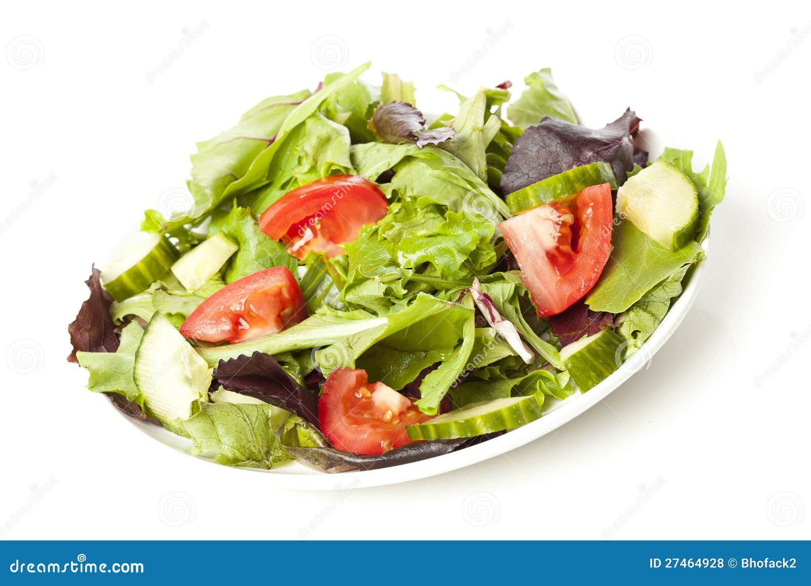 Fresh Green Organic Garden Salad Stock Photo Image of organic