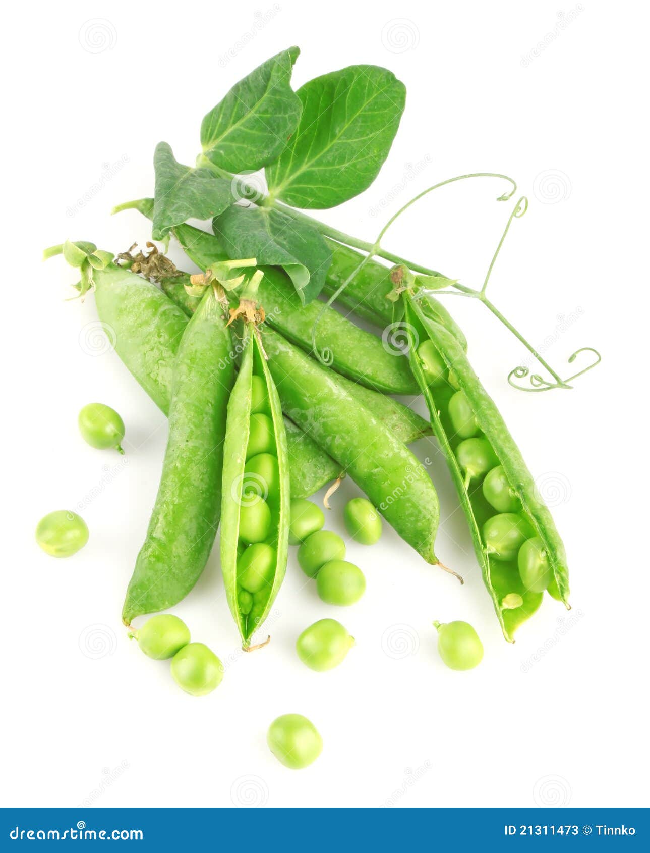 Fresh green pea in pod stock image. Image of nutrition 21311473