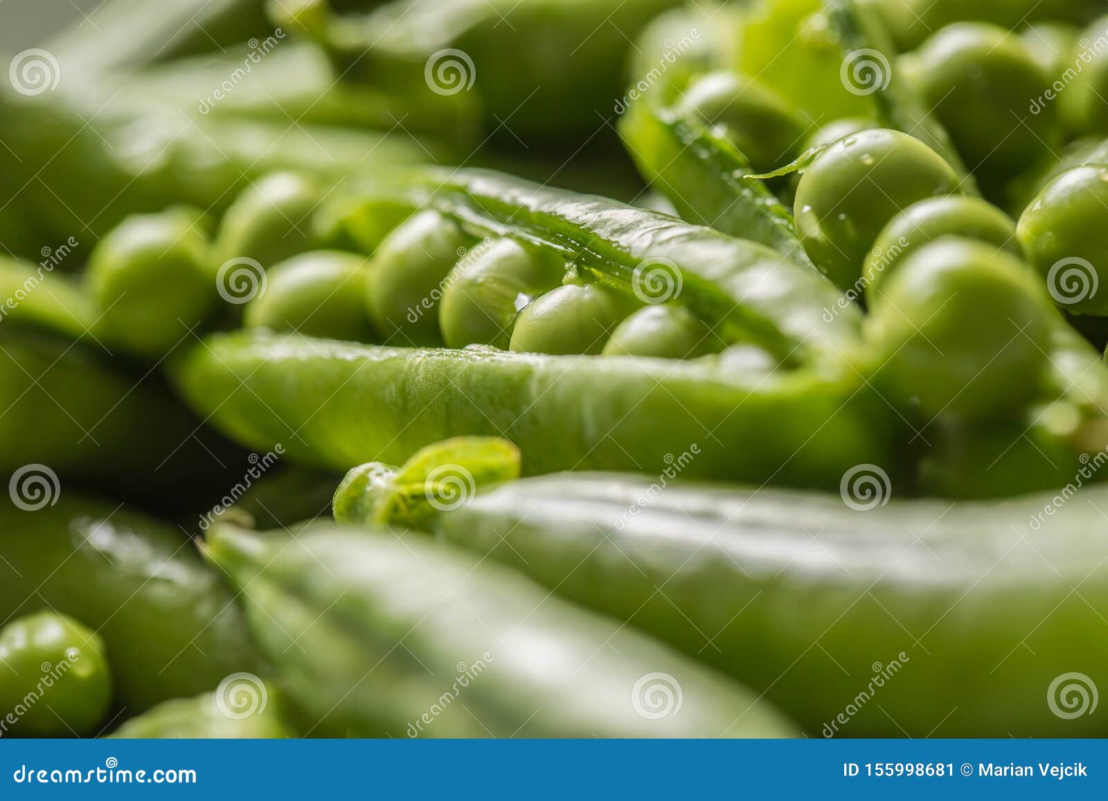 Fresh Green Pea Seeds and Pods Close Up Stock Image Image of season