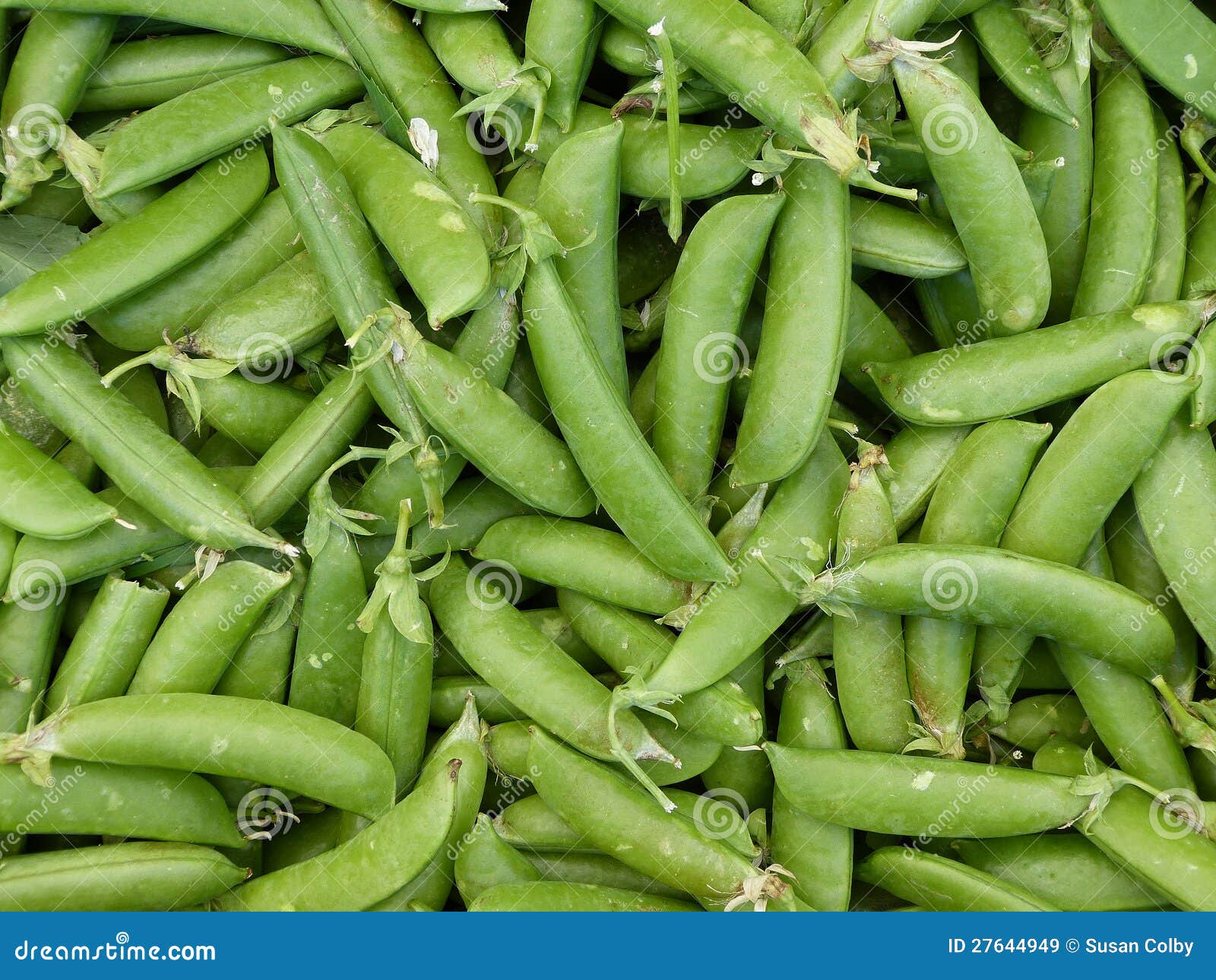 Fresh green peas stock image. Image of cooking, seasonal 27644949