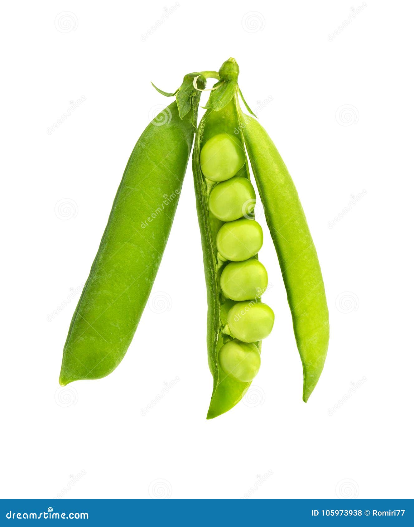 Fresh green peas. stock photo. Image of healthy, macro 105973938