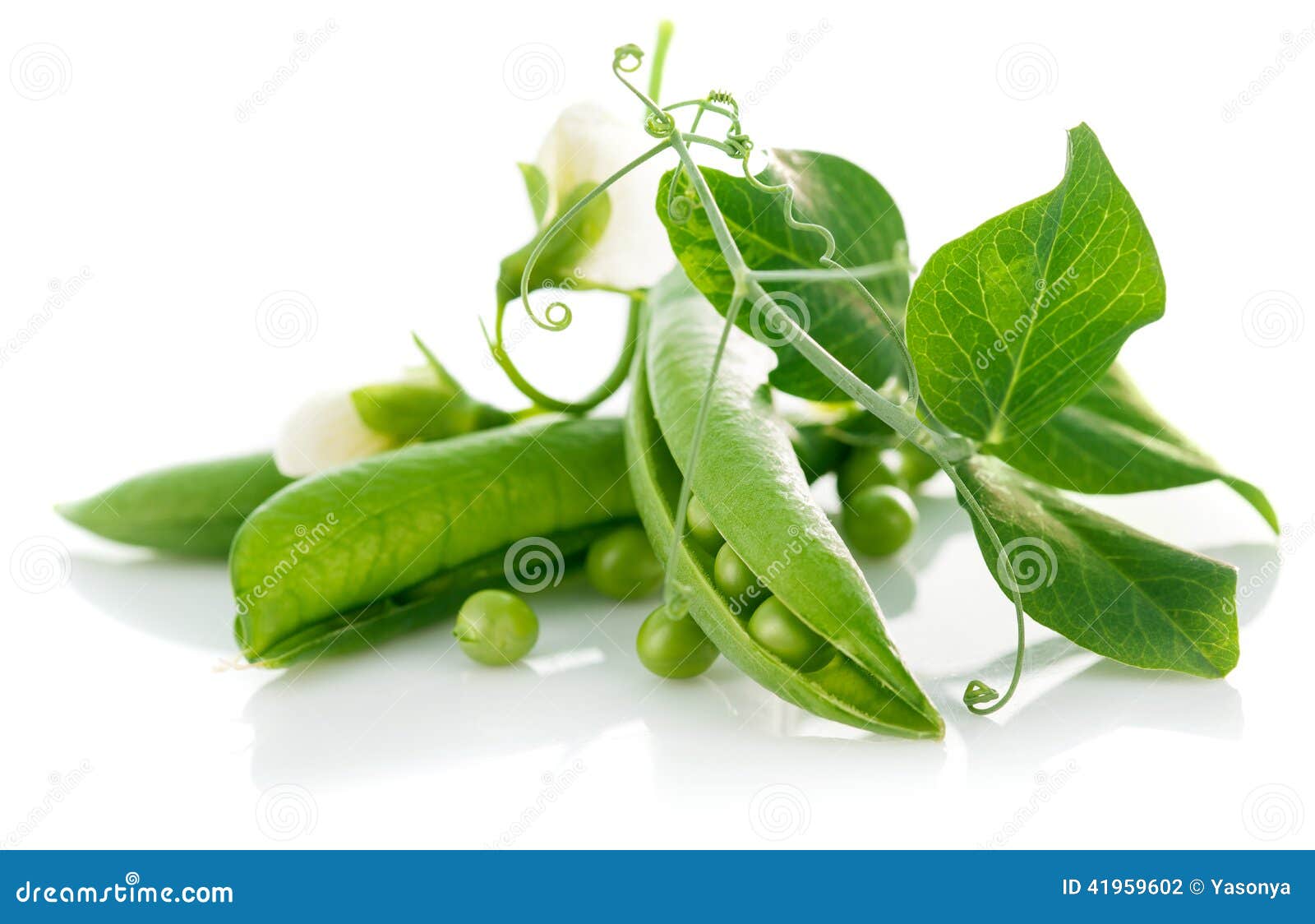 Fresh Green Peas with Leaf and Flower Stock Photo Image of ration
