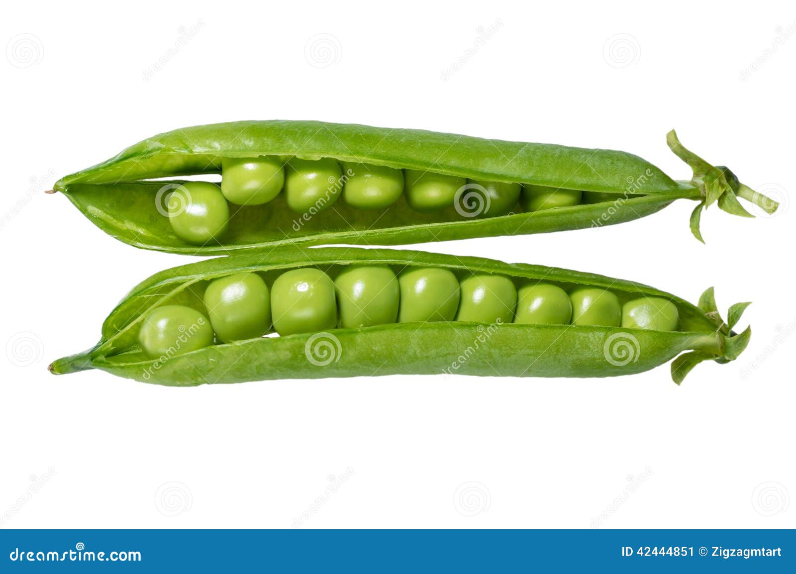 Fresh Green Peas in the Pod Stock Image Image of harvested, organic