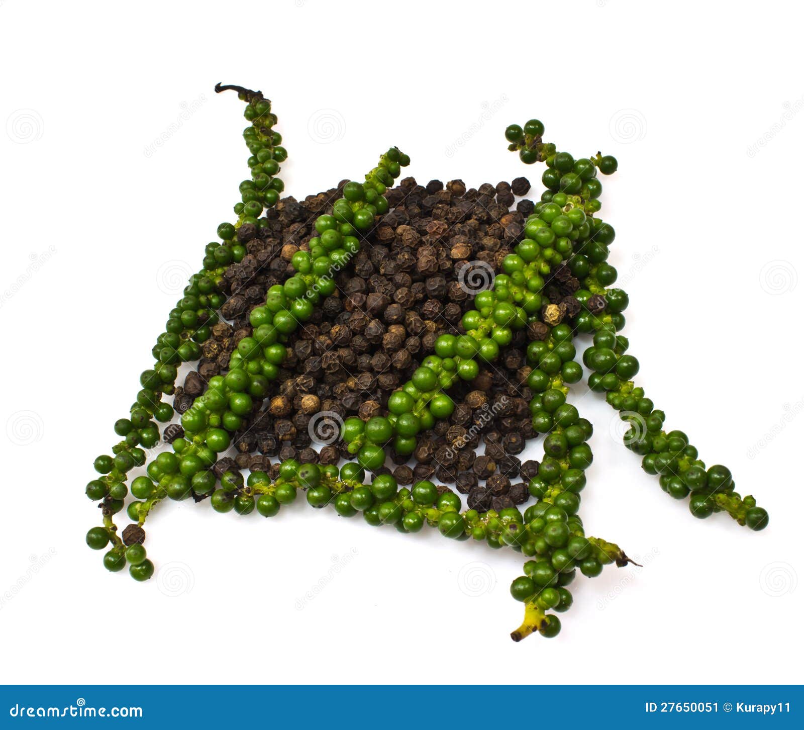 Fresh Green Peper on Heap of Black Pepper Stock Image Image of cook, herbal 27650051