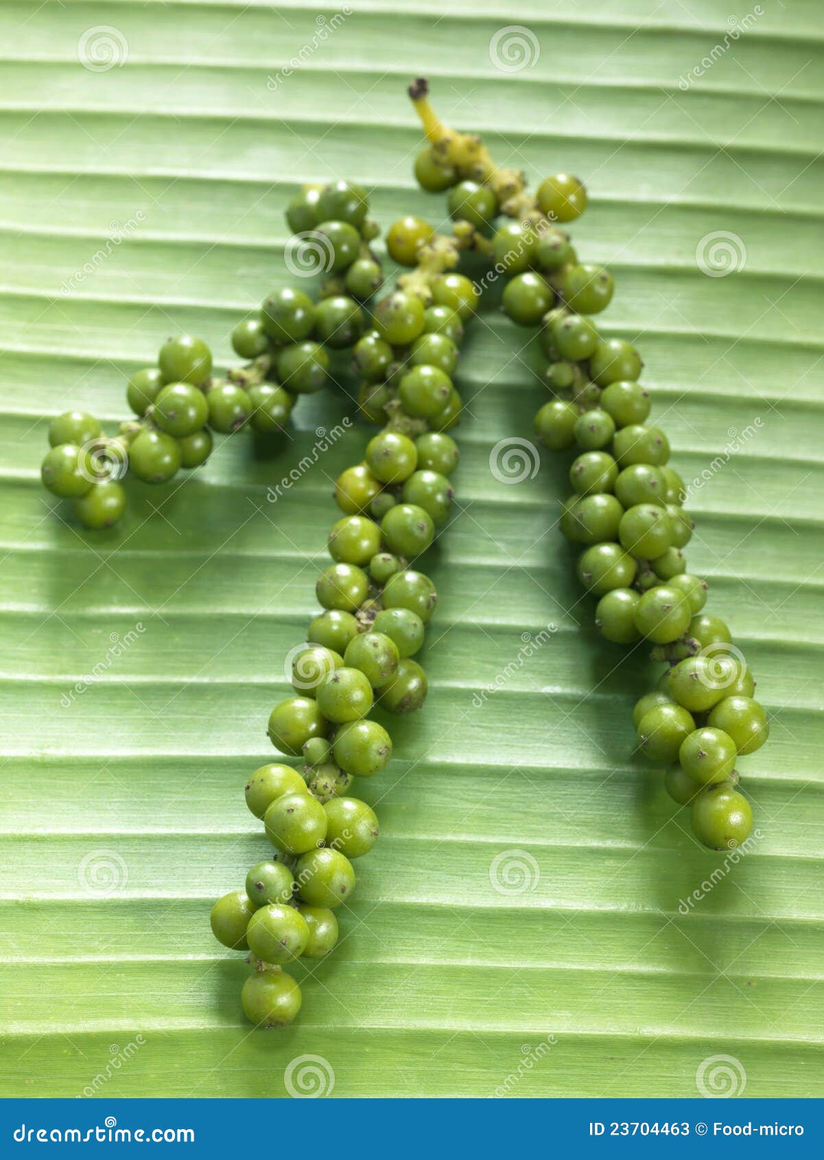 Fresh green peppercorns stock image. Image of fruit, vegetable 23704463