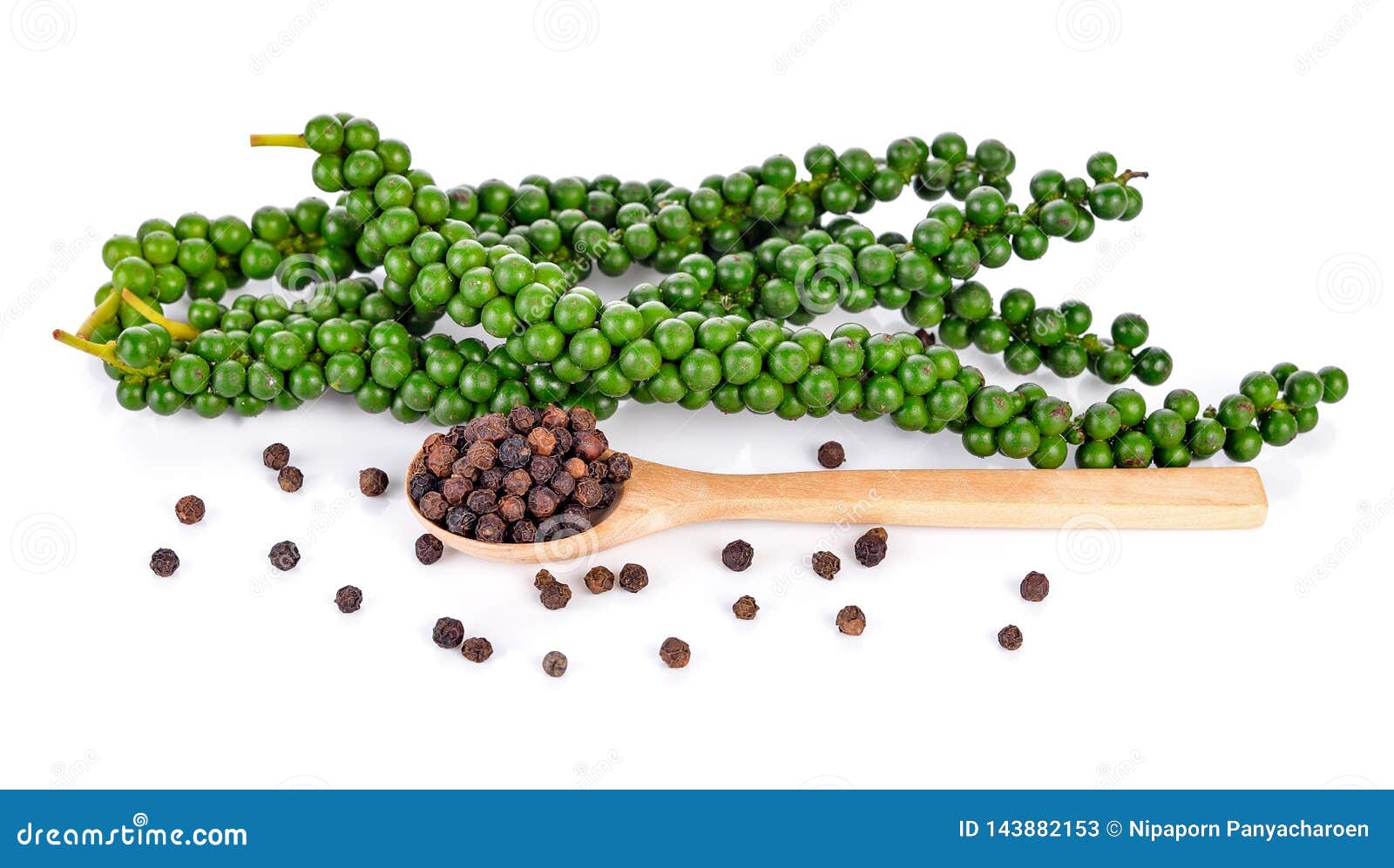 Fresh Green Peppercorns and Black Peppercorns Stock Image Image of